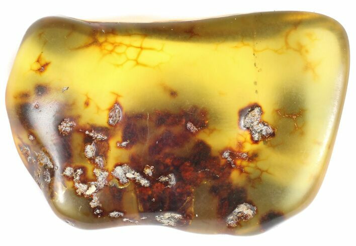 Polished Chiapas Amber With Inclusions - Mexico #50803